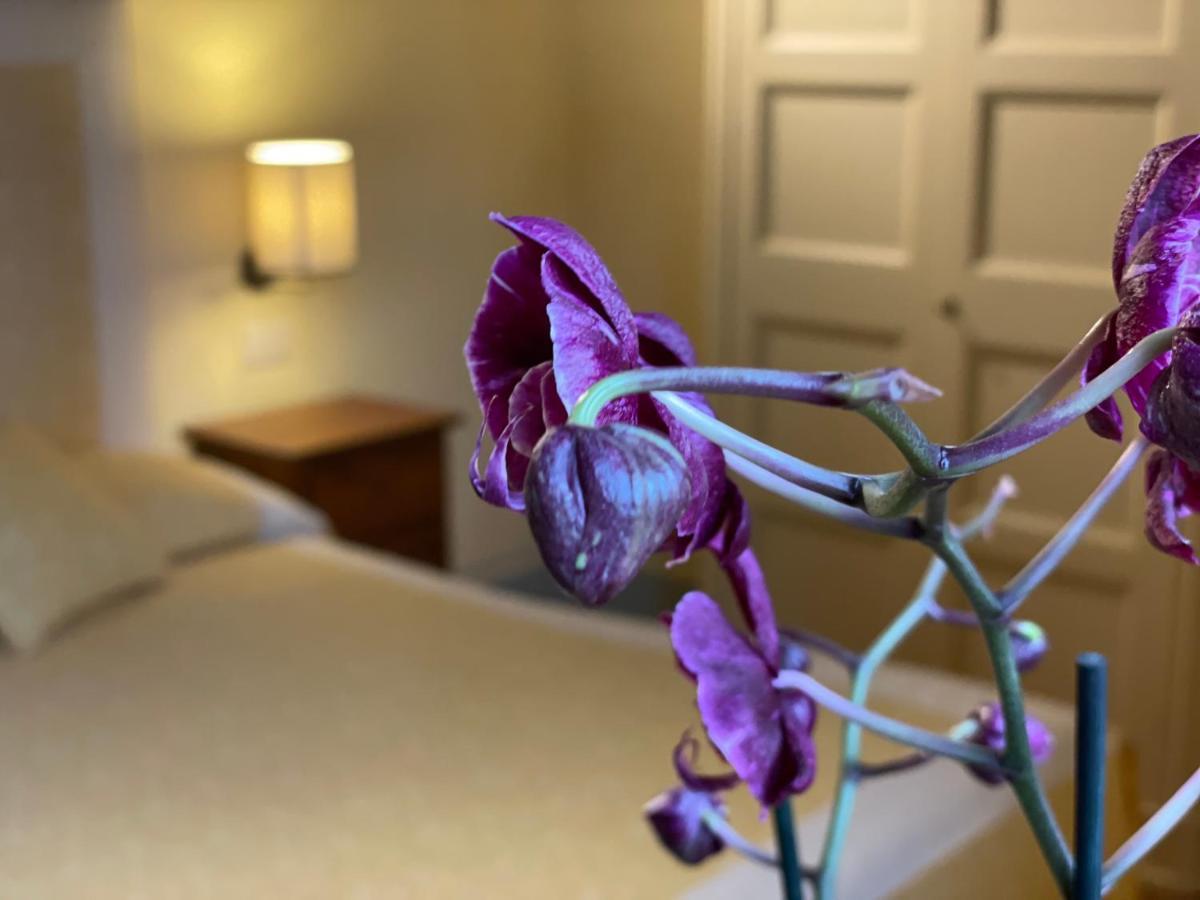 Altesino Suites Montalcino Exteriér fotografie